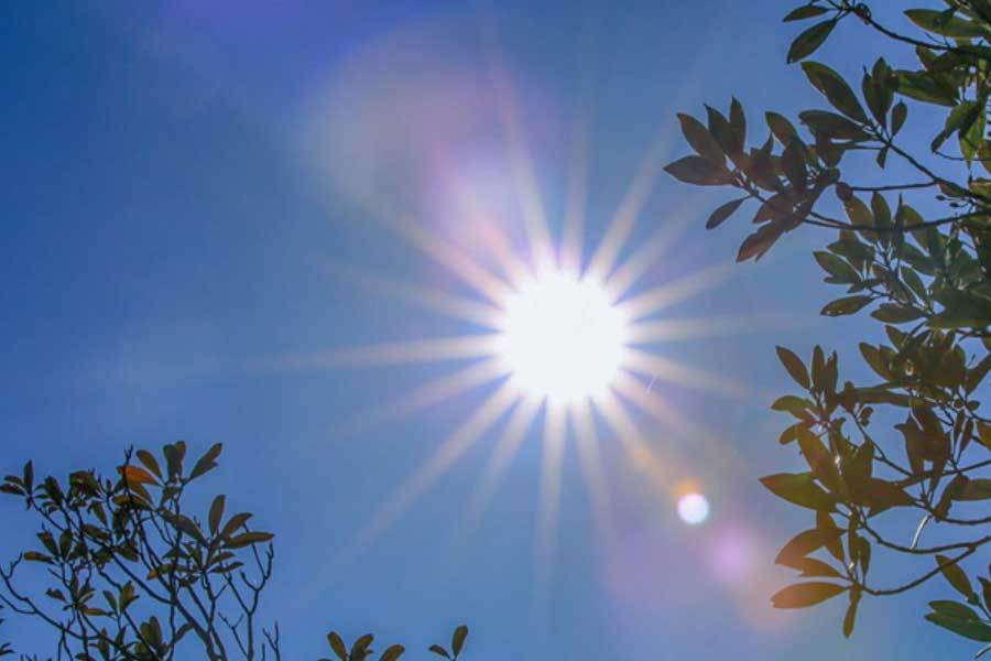 宋茜穿蝴蝶结长裙明媚动人